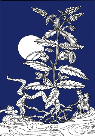 bambini_in erba_card1