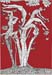 ramiacrobati_rosso_card