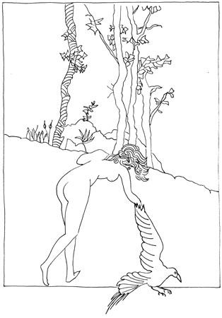 Gloria Canestrini